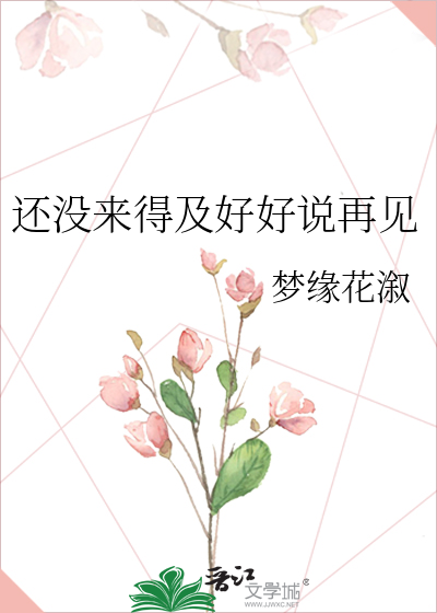 还没来得及好好说再见什么意思