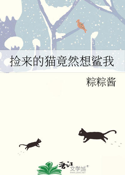 捡回来的猫叫什么名字