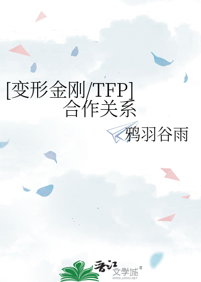 变形金刚 tfp 同人