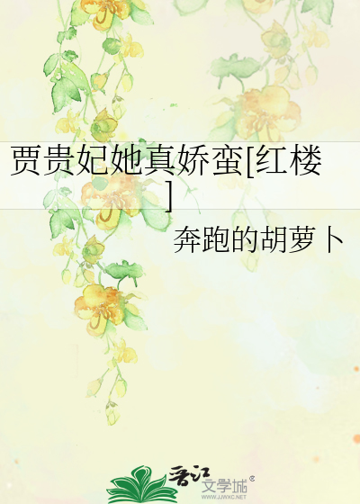 贾府的贵妃叫什么名字