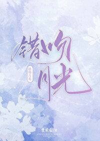 错吻 小说