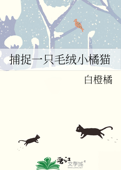 怎么抓橘猫