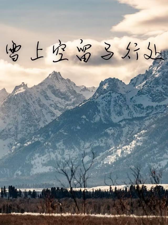 雪上空留马行处拼音