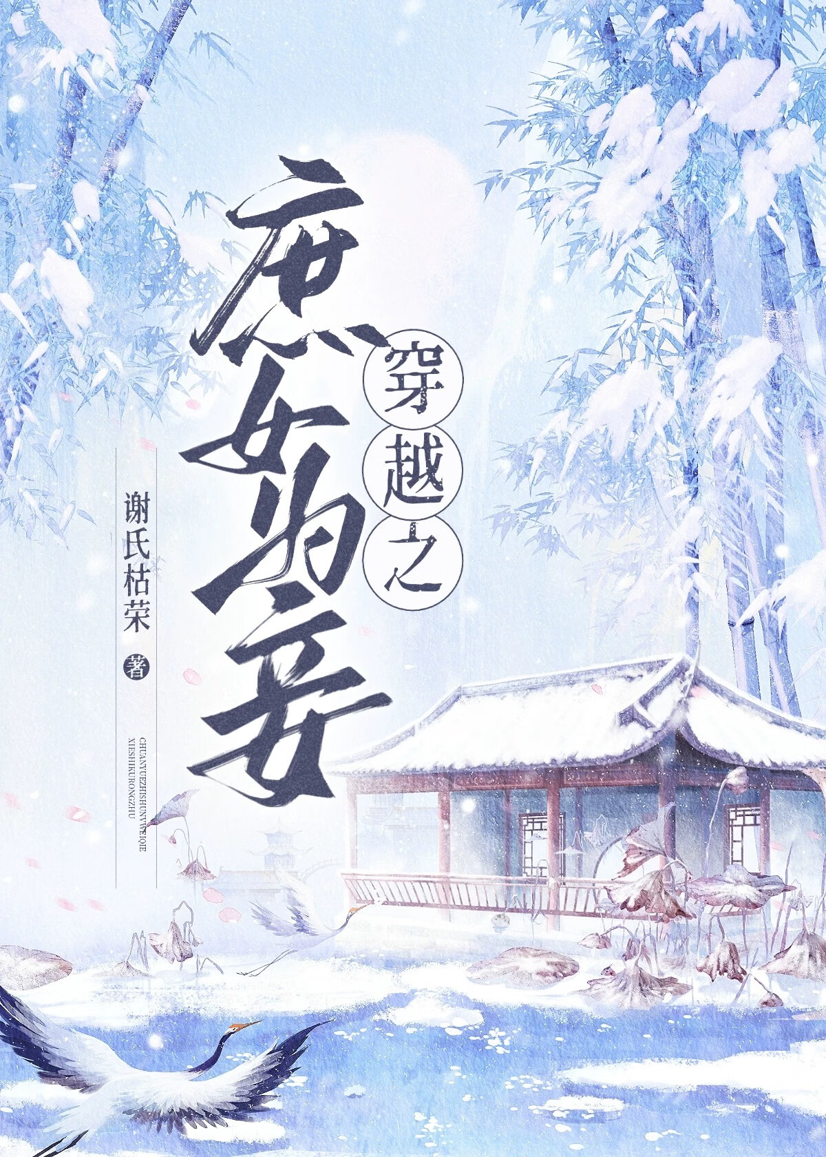 庶女为妾苏蕴雪