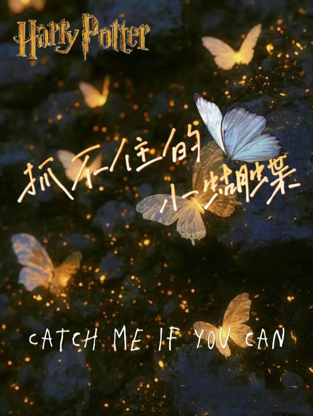 抓不住的你小说免费阅读